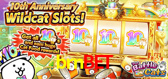 brnbet plataforma