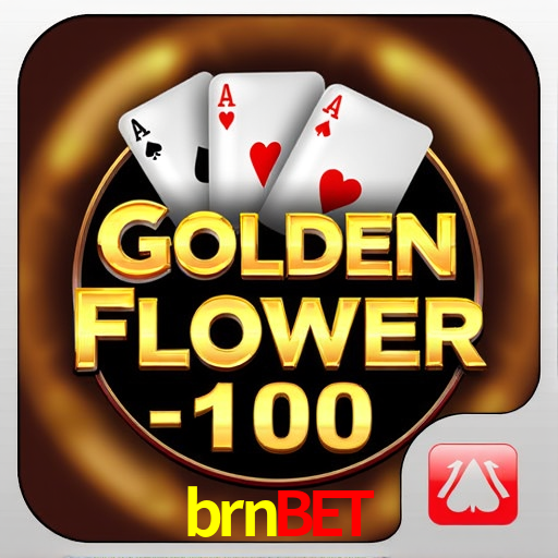 Interface Premium brnbet